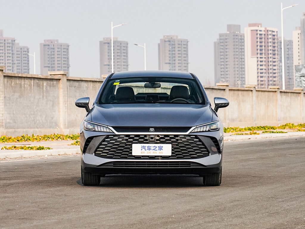 BYD Qin Plus EV, фото 3